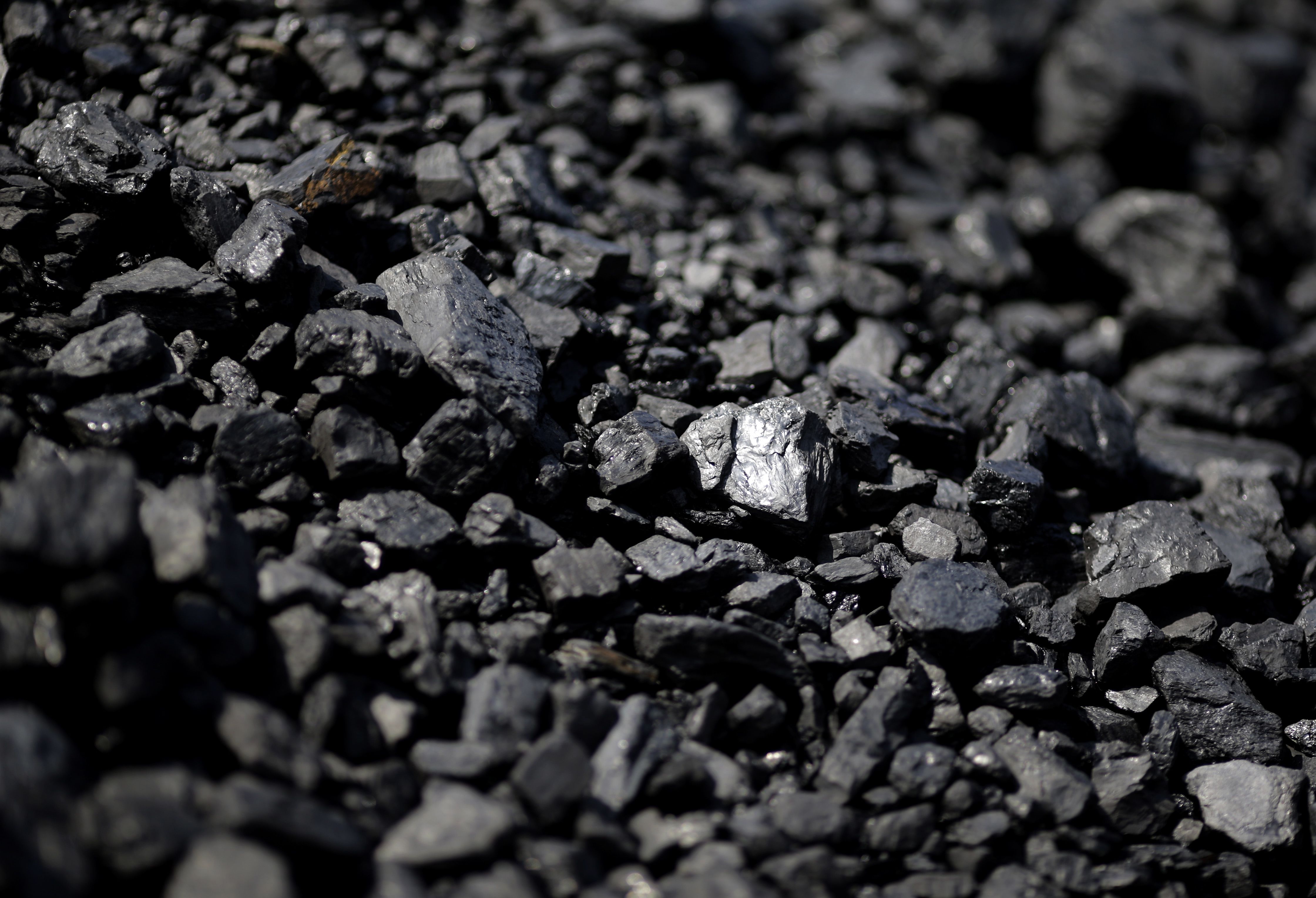 Steamed Coal